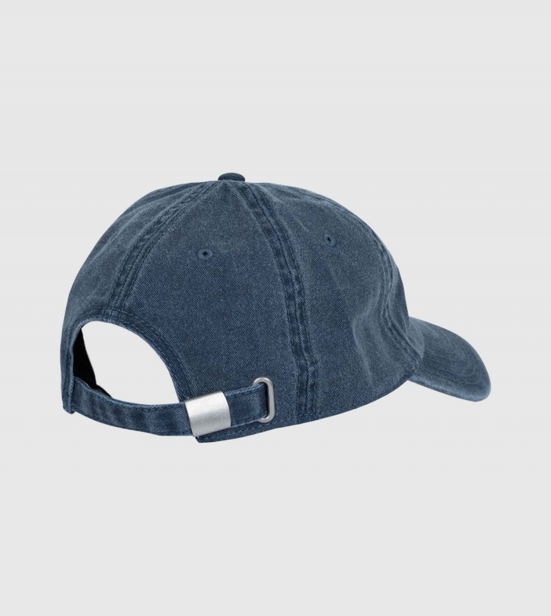 Digg IE Cap. Navy color back