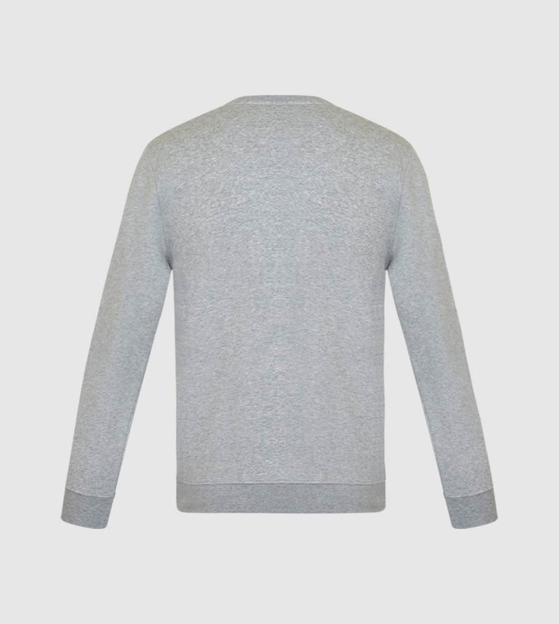 Changer IE Sweatshirt. Grey color back