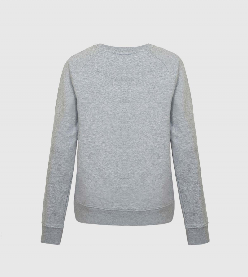 IE Sweatshirt. Grey color back