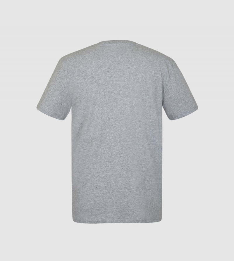 Camiseta Unisex IE Business School de color gris back