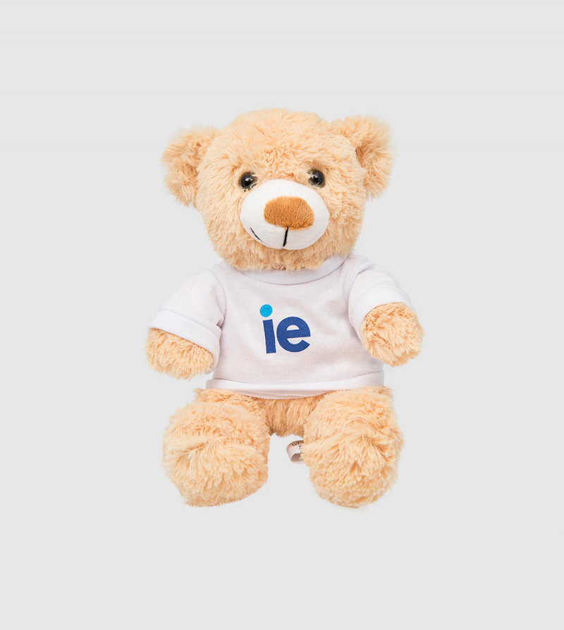 IE Teddy Bear. Brown color front