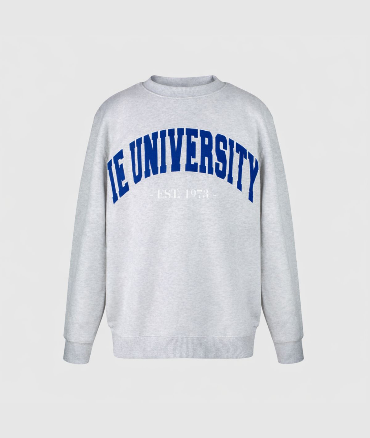 Sweatshirt Oversize Velvet IEU. Light Grey front